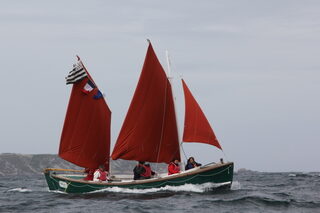 Sorties aux avirons dans le port de Camaret