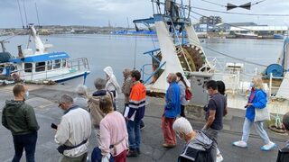 Visite guidée de la criée du port de Saint-Malo