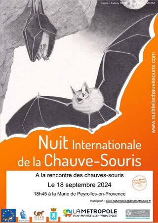 28e Nuit internationale de la chauve-souris