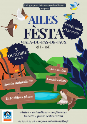 Ailes Fèsta