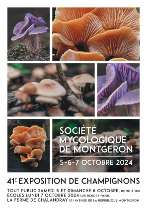 Exposition de Champignons