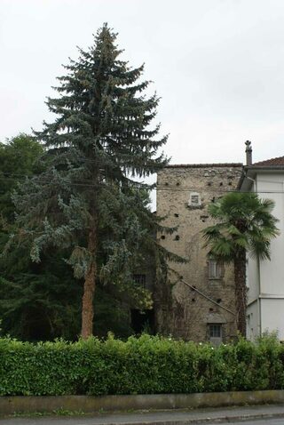 Partez à la découverte de la tour du moulin de Lourdes