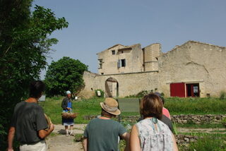 Visite guidée 