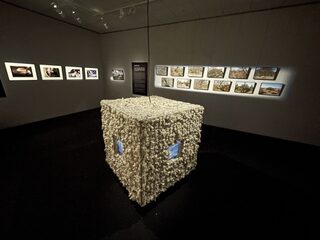 À la découverte du musée de Millau et des Grands Causses