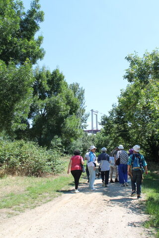 Balade urbaine sur les berges de la Garonne : « Les richesses de la Garonne »