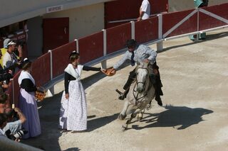 La Camargue aux Arènes