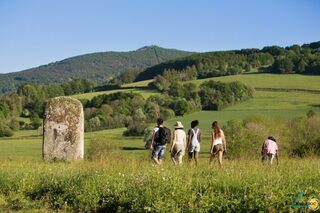 Visite guidée : « Percez les mystères des statues-menhirs »