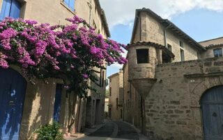 Visite guidée de Pézenas, un trésor d’architecture