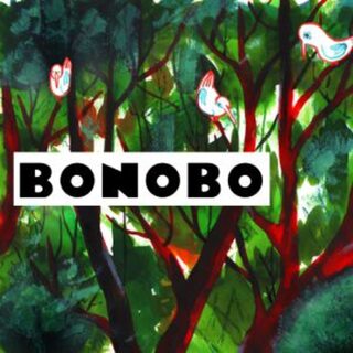 BONOBO