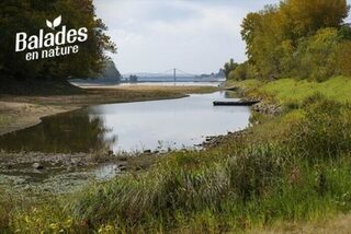 Visite guidée de l'Île Bernardeau