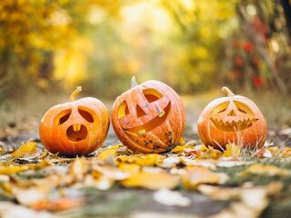 HALLOWEEN AU BAMBESCH : JEU DE PISTE POUR LES ENFANTS