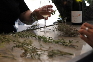 [Fascinant Week End] - De la cueillette à la Table