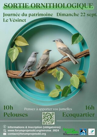 Balade ornithologique dans l'écoquartier Princesse