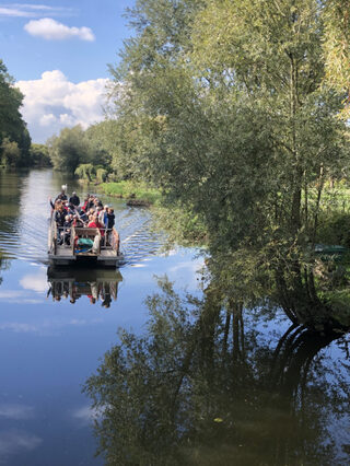 La Route des Marais : Visite guidée du marais Audomarois en bateau - Journées du