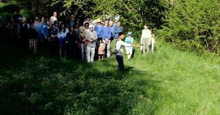 Spectacle : « Les Insolites #5 » - 1ère partie à la réserve naturelle de l'Etang