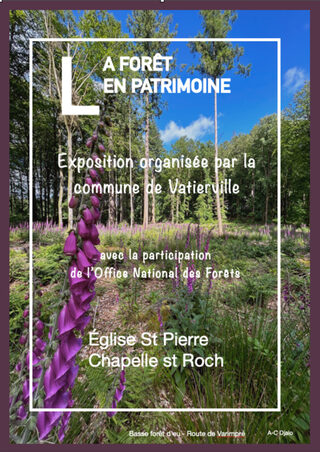 Exposition : la forêt en patrimoine, aux portes de Vatierville