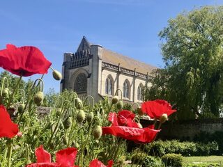 Visite guidée : les jardins d'Ardenne au fil des saisons, déambulation avec le n