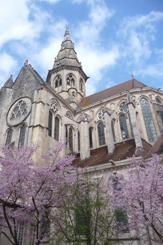 Visite de l'église Notre-Dame de Semur-en-Auxois