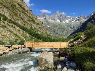 Désamontagnage : Suivi d'une transhumance en compagnie du troupeau