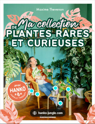 Du côté des grainothèques : plantes rares et curieuses