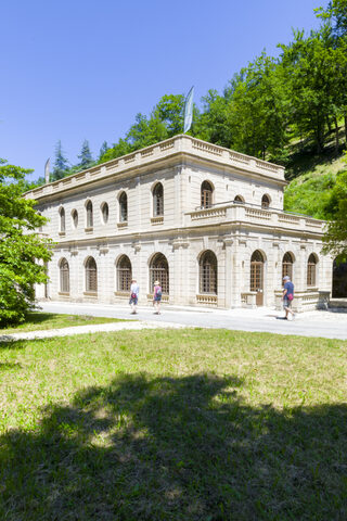 Visite libre et gratuite de l'exposition Secrets de forêt