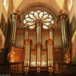 Visite des grandes orgues de la Cathédrale Saint-Pierre