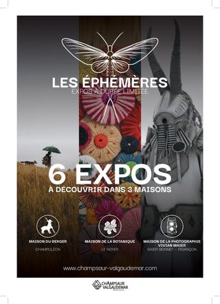 Visite des expositions