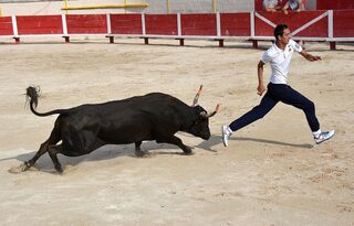 Course camarguaise : Taureaux jeunes emboulés - Club Taurin Lou Glanum