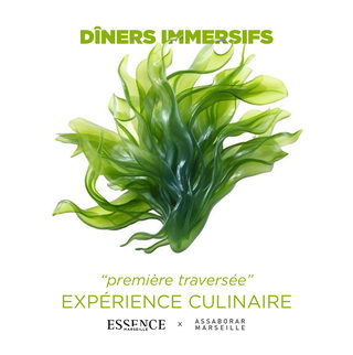 Dîners immersifs