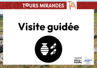 Visite guidée des Tours Mirandes