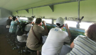 Visites guidées de l’observatoire ornithologique du lac de Grand Lieu