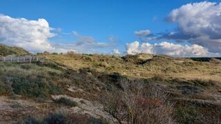 Entretien participatif de la dune