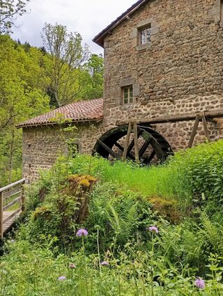 Visite guidée du moulin