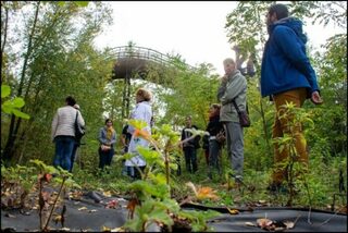 Visite guidée de jardins expérimentaux de phytoremédiation