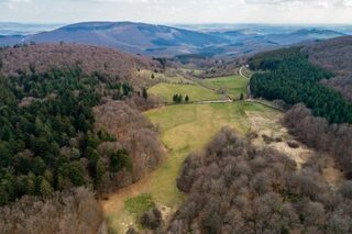 Visite commentée des fouilles des sources de l'Yonne