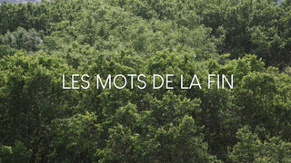 Projection : Les mots de la fin