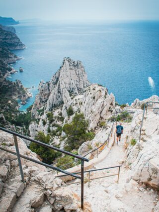 Sortie nature du Muséum - Oiseaux migrateurs des calanques (Marseille)