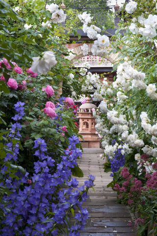 Découverte des Jardins Secrets