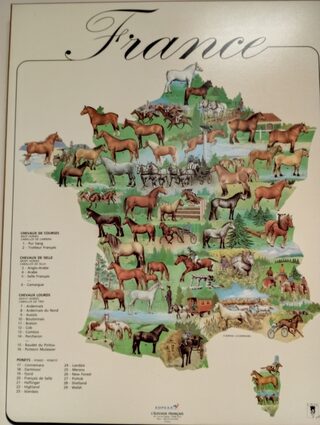 Rencontre autour du cheval en France et du rôle des haras nationaux