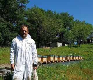 Plantes médicinales et apiculture