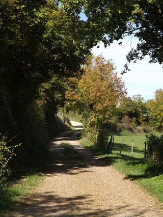 Randonnée sur la Trace de la Transhumance, de Varès à Lenne