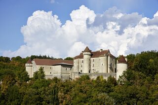 Visite - Le Château de Vaillac et ses Ecuries