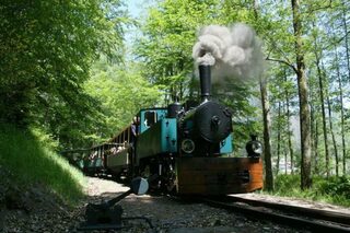 Prenez le train à travers la forêt d'Abreschviller