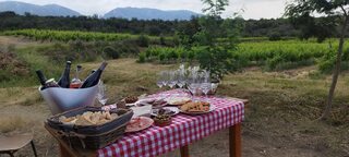 VIGNERON D'UN JOUR