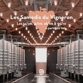 Les Samedis du Vignerons