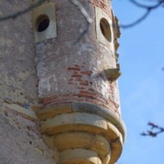 Vers la renaissance d'un château oublié entre Forez et Lyonnais