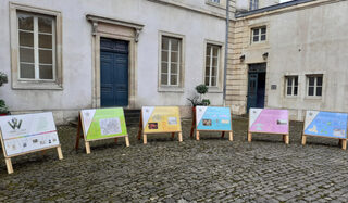 Exposition « La vigne et la ville » à l’hôtel Despringles