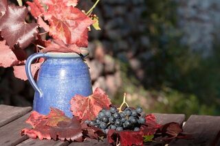 FÊTE DES VENDANGES