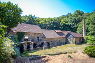 Visite et démonstration à la Papeterie de Vaux