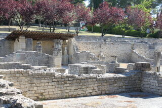 Visite flash de la Maison à l'Apollon lauré